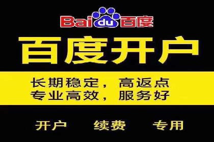 百度竞价效果监控与调整：案例分析及实战技巧